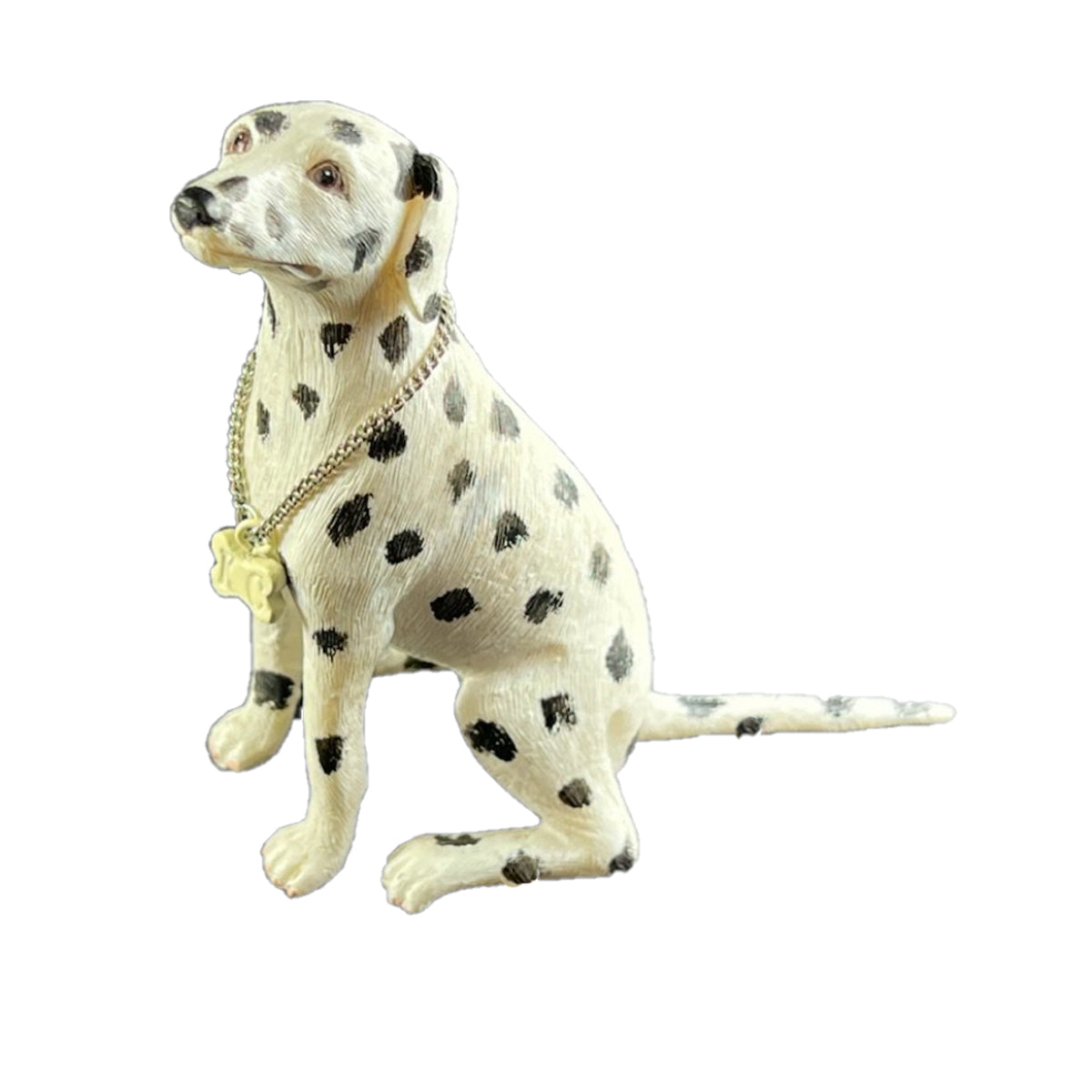 Dalmatian-Kennel Club Dogs*