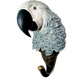 african grey parrot hook natures window