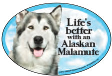 Alaskan Malamute  "Life is Better with a..."  4" Oval Car Magnet