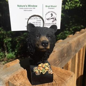 Black Bear Picture /Memo /Business Card Holder