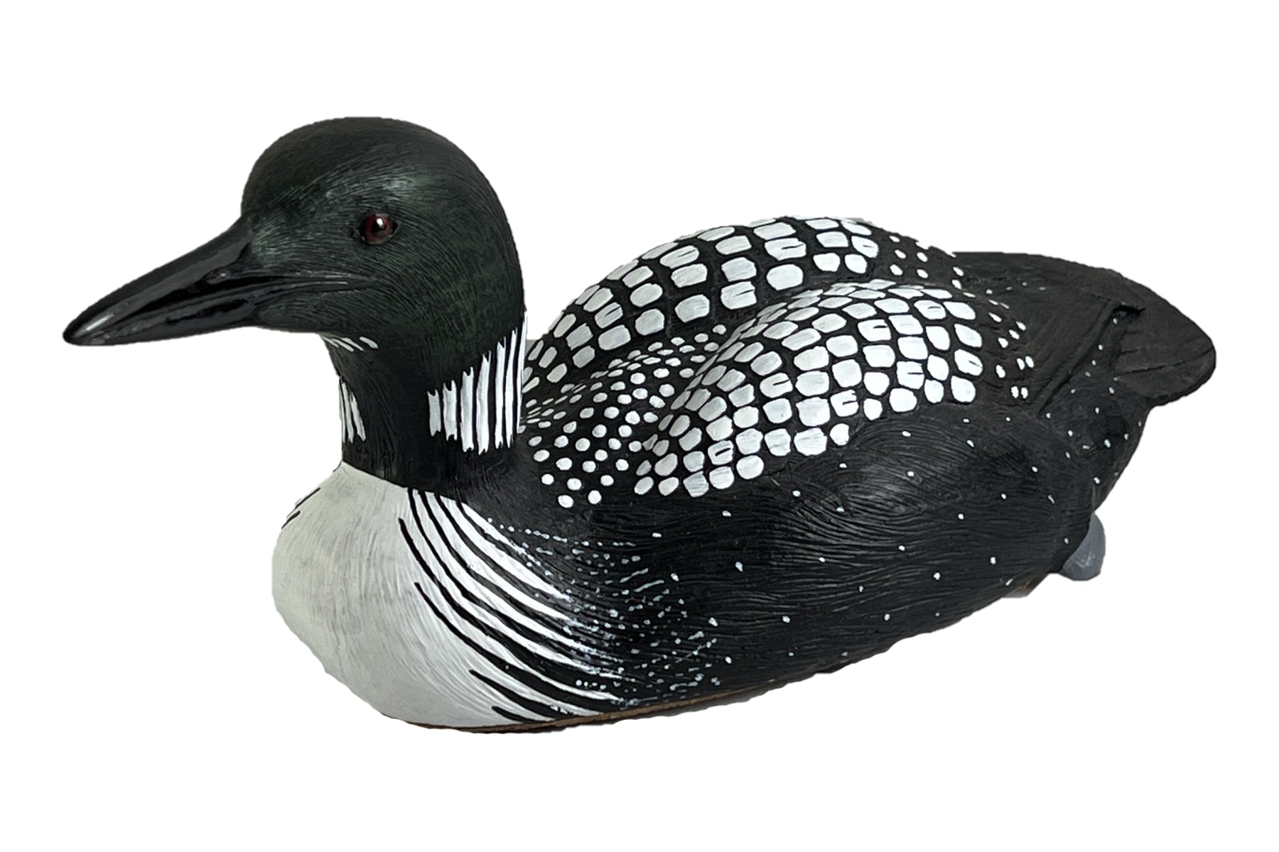 Common Loon by Roger Desjardins-Autograph Series