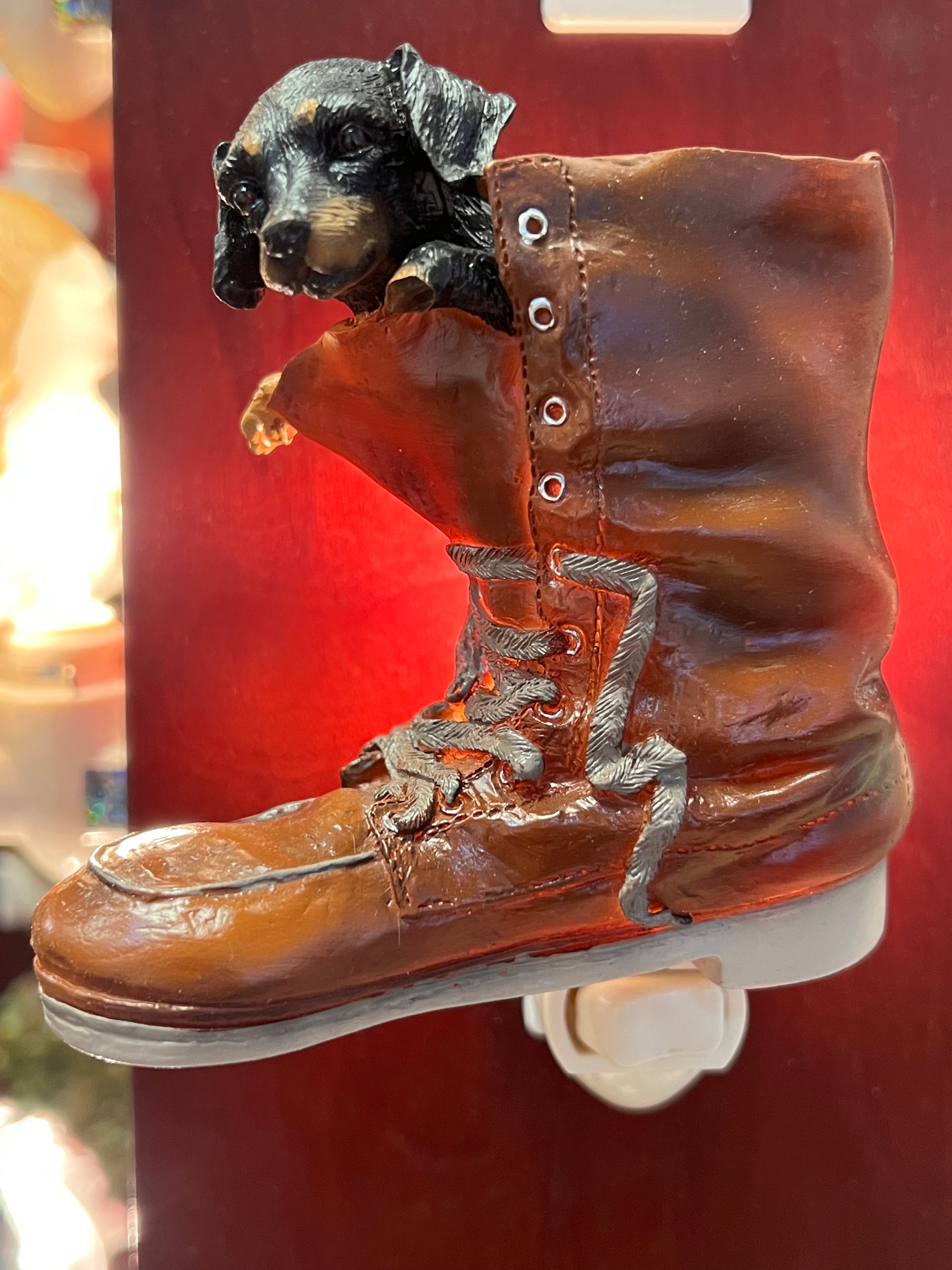 Dachshund Puppy in Boot Nigh Light