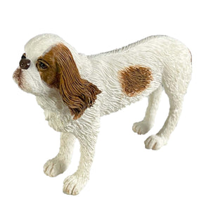 Cavalier King Charles Spaniel-Kennel Club Dogs*