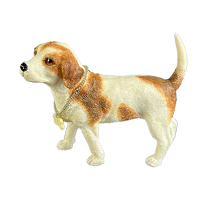 Beagle-Kennel Club Dogs*