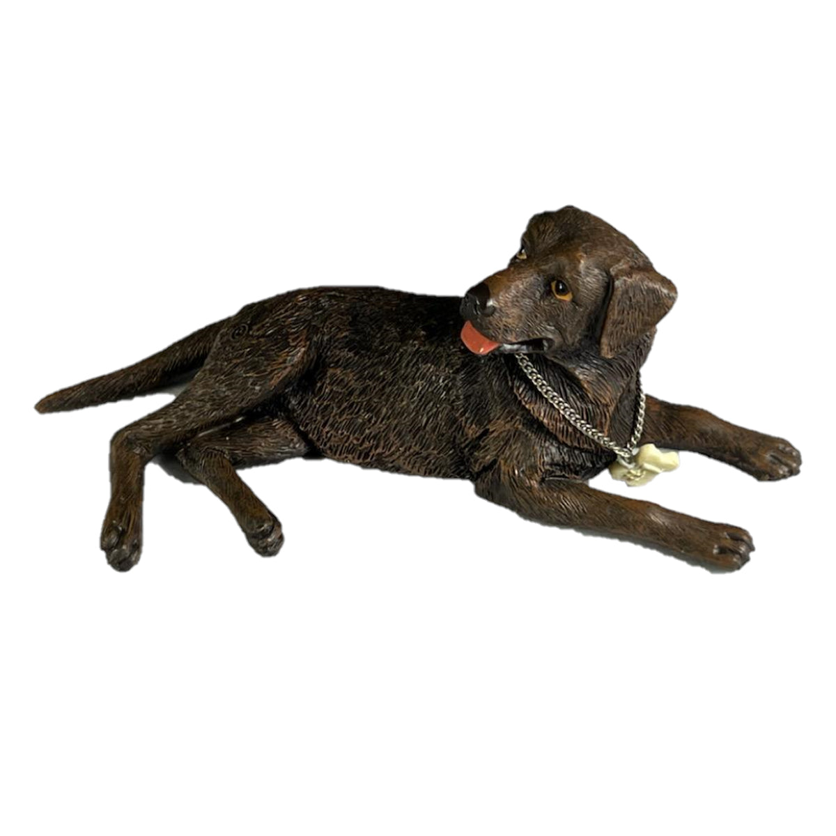 Chocolate Labrador-Kennel Club Dogs*