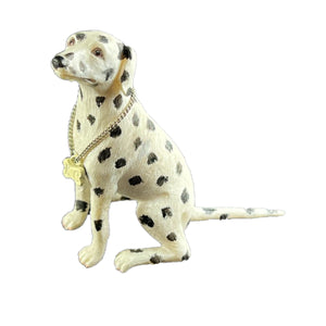 Dalmatian-Kennel Club Dogs*