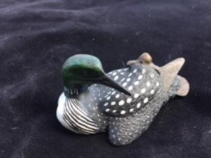 Common Loon by Roger Desjardins-Collectible Series