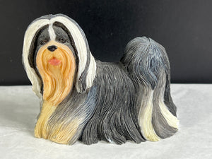 Bearded Collie-Kennel Club Dogs