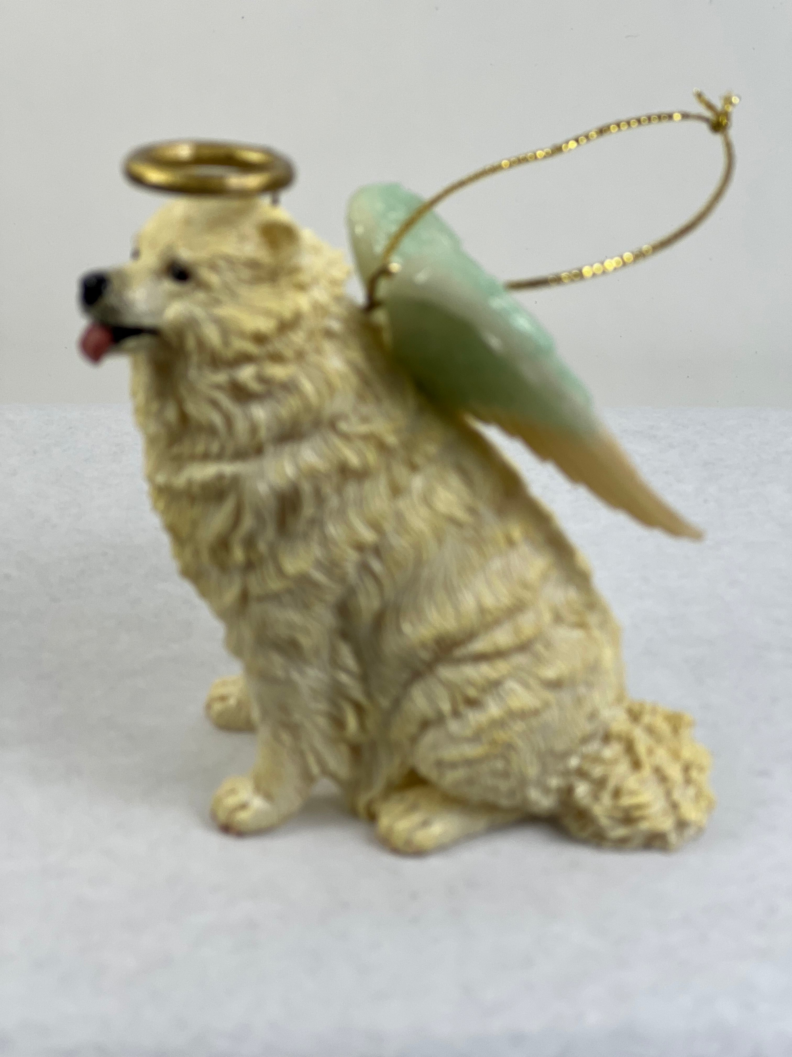 Samoyed  Angel Dog-Kennel Club Dogs