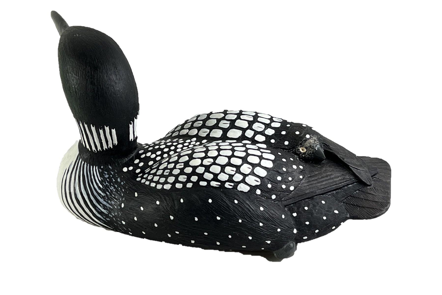 Mother Common Loon by Roger Desjardins-Autograph Series