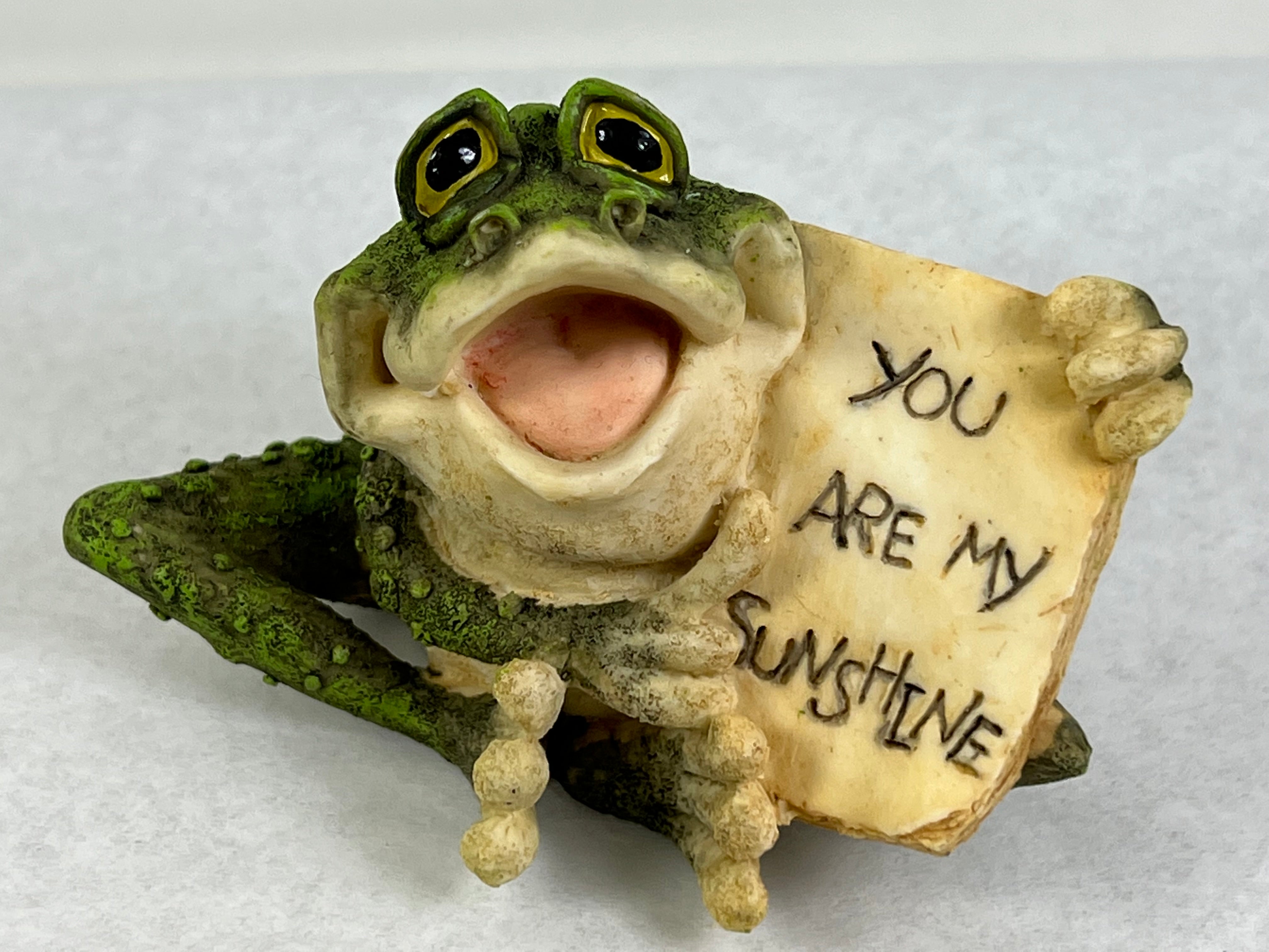 "You Are My Sunshine  " Message Frog