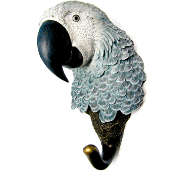 african grey parrot hook natures window