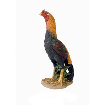 roco rooster