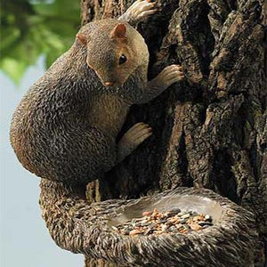 Squirrel Bird Feeder Nature's Window