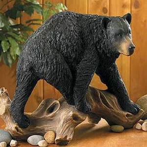 black bear on driftwood