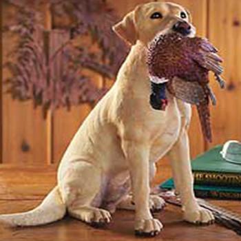 Yellow Lab with Pheasant
